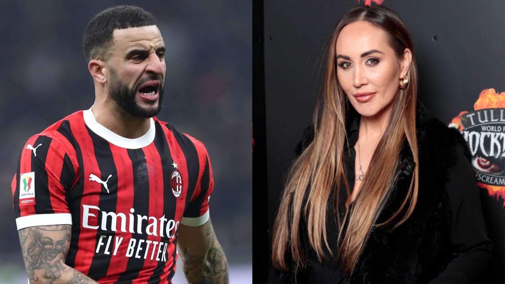 的适应性 的适应性